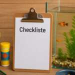 Vorrat für Aquarienfische anlegen - Tipps und Checkliste